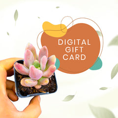 Digital Gift Card for Succulent Enthusiasts - Personalized and Convenient